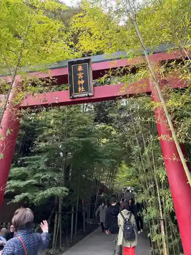 來宮神社(静岡県)