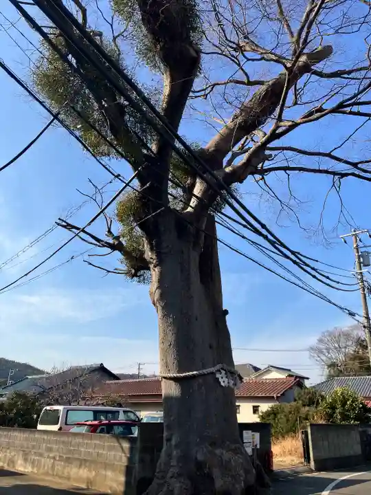 相模国総社六所神社(神奈川県)