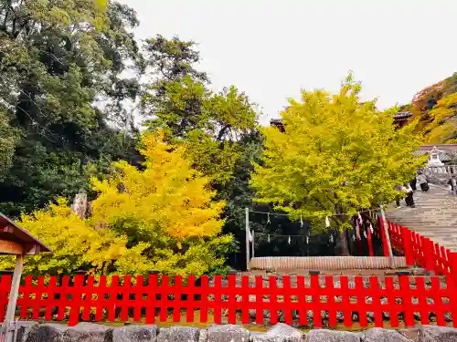 鶴岡八幡宮(神奈川県)
