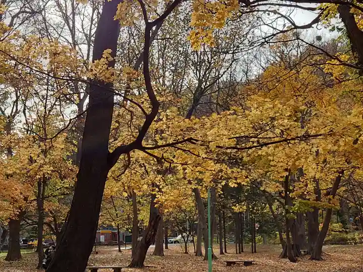 北海道神宮の自然