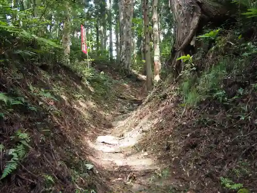 北山漆薬師の自然
