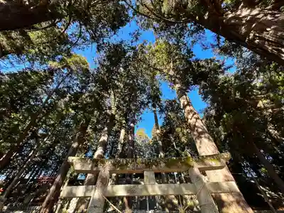 大洲七椙神社(長野県)
