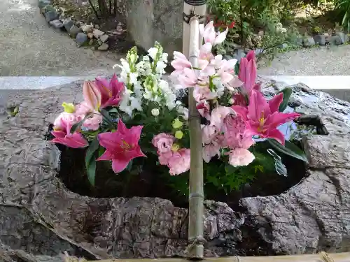 阿智神社(岡山県)