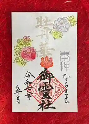 ②牡丹華
