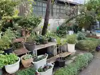 壺井堂(壷井の茶所)(京都府)