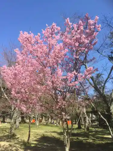 賀茂別雷神社（上賀茂神社）の自然