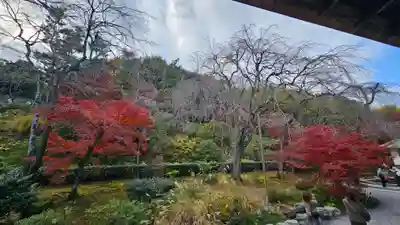 天龍寺(京都府)