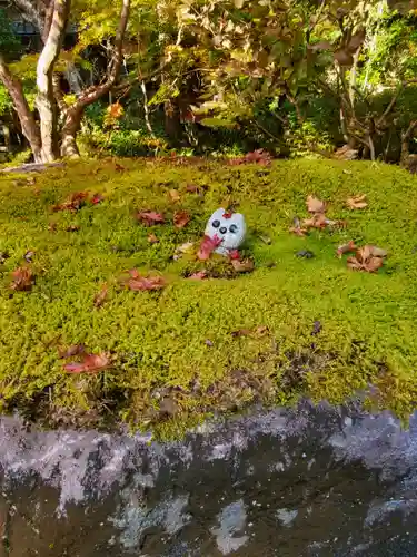 五所駒瀧神社(茨城県)