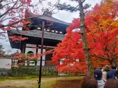東福禅寺(東福寺)(京都府)
