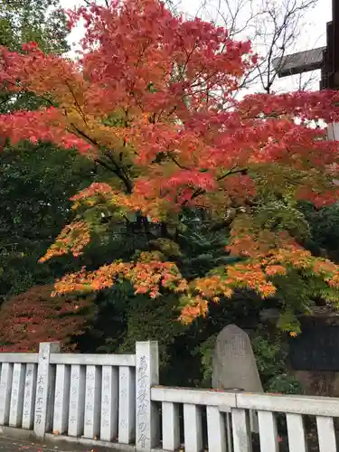 伊勢山皇大神宮の自然