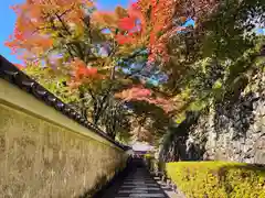 善峯寺の建物その他