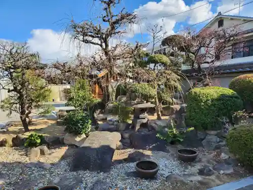 専念寺(兵庫県)