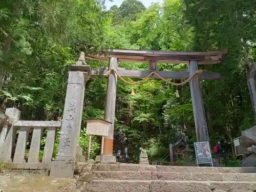 戸隠神社宝光社の鳥居