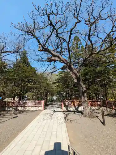 開拓神社の庭園