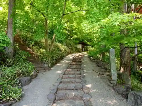 崇禅寺(群馬県)