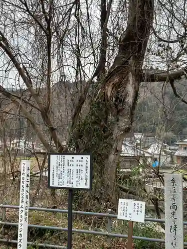 建神社(徳島県)