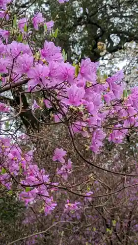 石山寺(滋賀県)