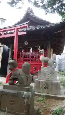 田中稲荷神社の狛犬