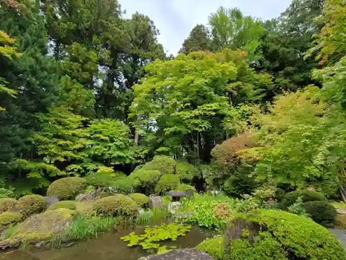 慈雲寺の庭園