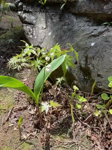 常照院（曼陀羅寺塔頭）(愛知県)