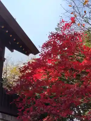 厚別神社(北海道)