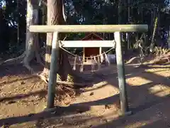 天満神社の鳥居