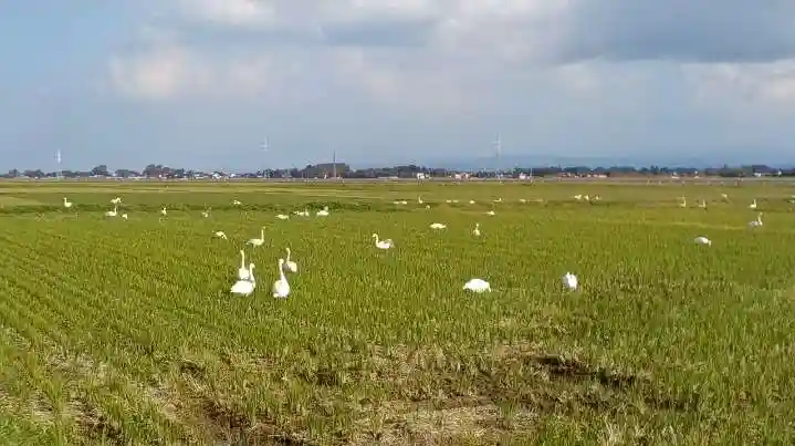 白狐山光星寺(山形県)