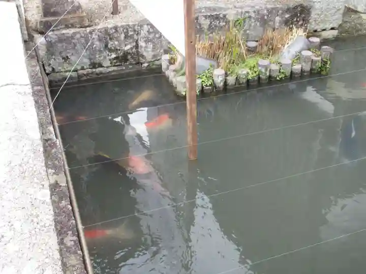弘誓寺(滋賀県)