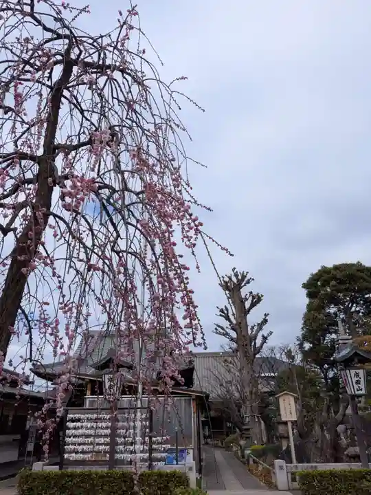 常性寺(東京都)
