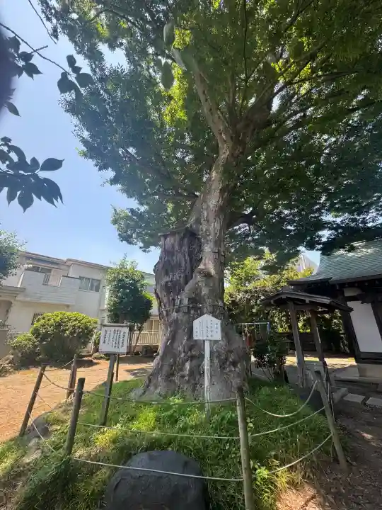 日隅神社(静岡県)