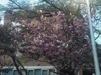 江南神社(北海道)