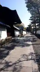 妙心寺（妙心禅寺）の建物その他