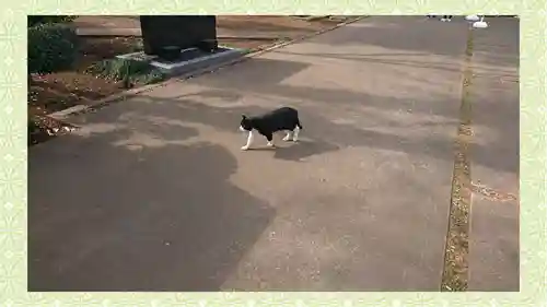 馬場氷川神社(埼玉県)
