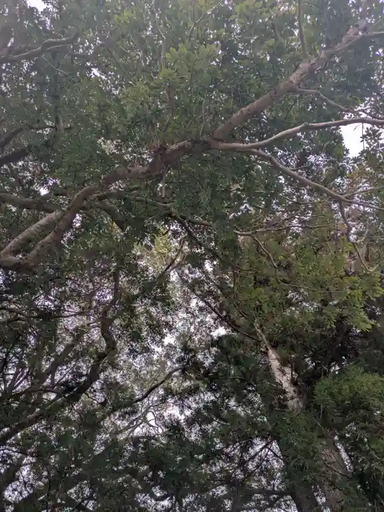 相生神社(三重県)
