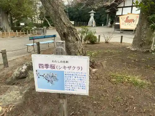 志波彦神社・鹽竈神社の{uncategorized: "未分類", other: "その他", undefined: "問題あり", building: "その他建物", grave: "お墓", sacred_gate: "鳥居", guardian: "狛犬", statue: "像", buddha: "仏像", history: "歴史", nature: "自然", garden: "庭園", animal: "動物", pagoda: "塔", temizu: "手水舎", mountain_gate: "山門・神門", sanctuary: "本殿・本堂", subordinate: "末社・摂社", art: "芸術", scenery: "景色", jizo: "地蔵", ema: "絵馬", goshuin: "御朱印", omikuji: "おみくじ", items: "授与品その他", amulet: "お守り", goshuincho: "御朱印帳", eats: "食事", festival: "お祭り", votive_dance: "神楽", shichigosan: "七五三参", wedding: "結婚式", experience: "体験その他", initially: "初詣", around: "周辺", anti_infection: "感染症対策"}
