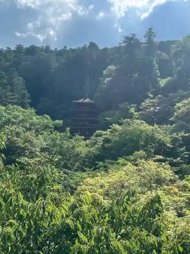 長谷寺(奈良県)