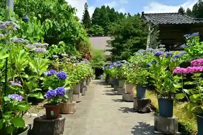 光照寺(新潟県)