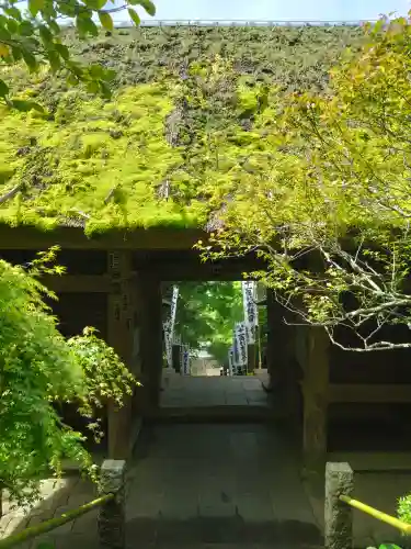 杉本寺(神奈川県)