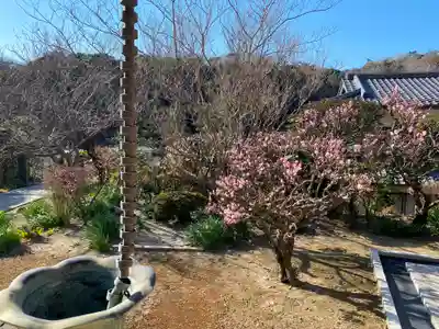 来迎寺（西御門）のその他建物