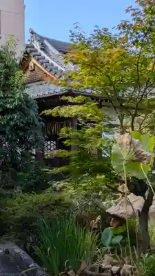 香雪院(京都府)