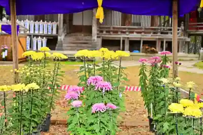 普光寺(新潟県)