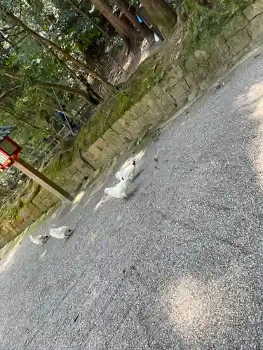 石上神宮(奈良県)