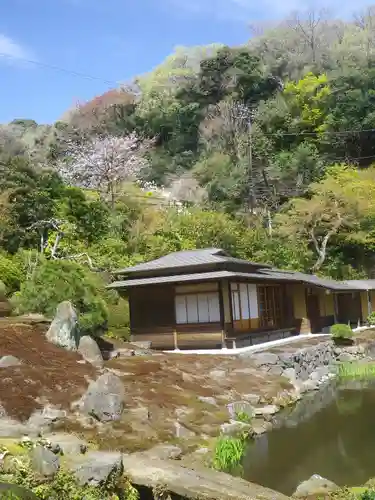 海蔵寺の庭園