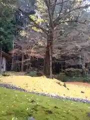 志和稲荷神社の自然