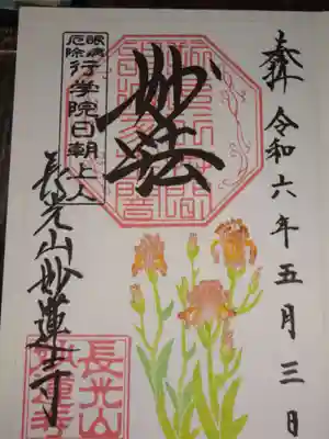 御朱印 ジャーマンアイリス