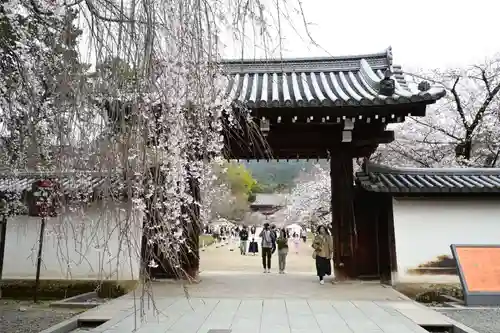 醍醐寺(京都府)