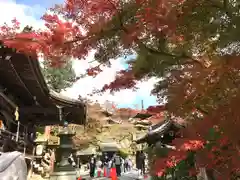 善峯寺(京都府)