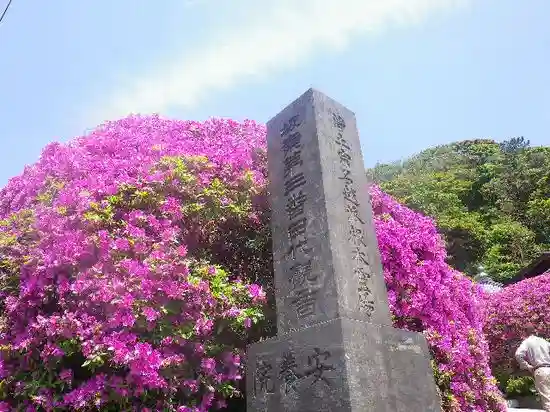 安養院 (田代寺)の自然