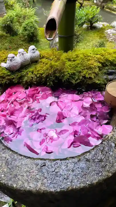 柳谷観音 楊谷寺(京都府)