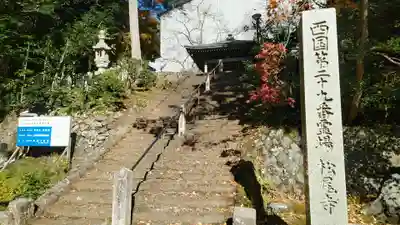 松尾寺の塔